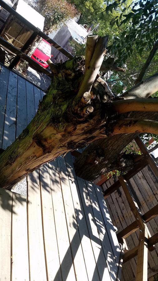 Mi Pesadilla Salinas Home Kültér fotó